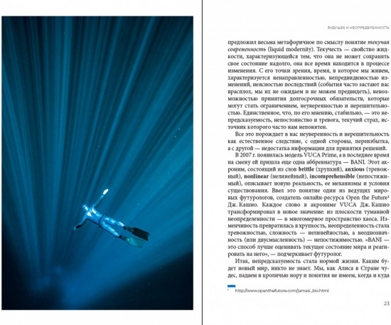 Свободное погружение. О природе лидерства