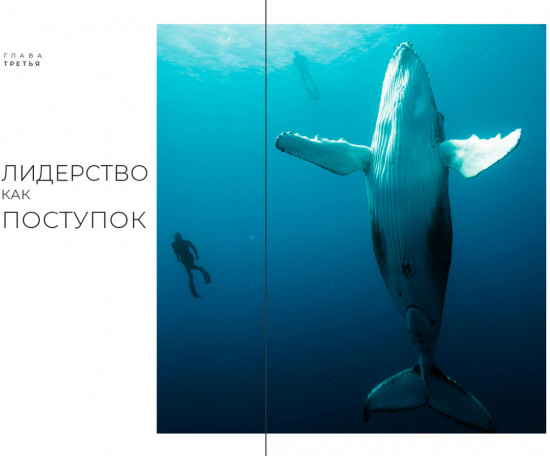 Свободное погружение. О природе лидерства
