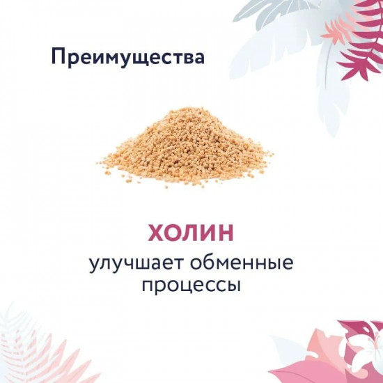 Корм для собак сухой