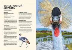 Животные Африки в натуральную величину - Фото 5