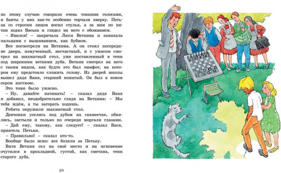 Удивительные приключения мальчика