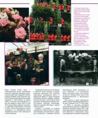 100 проектов. Дизайн сада. Том 2 - Фото 2