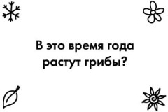 Игра настольная «Времена года» - Фото 6