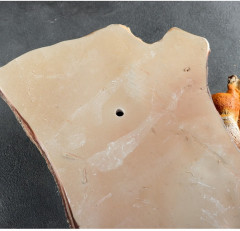 Декор подвесной «Белки-поилки на дереве» - Фото 2