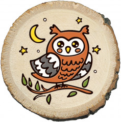 Набор для выжигания по дереву «Сова, зайка, ёжик» - Фото 6