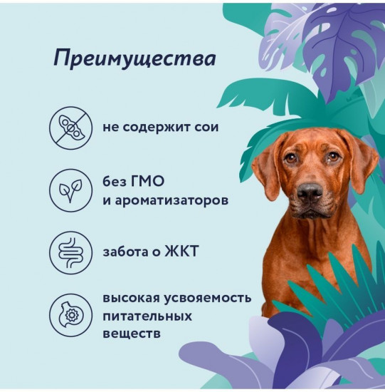 Корм для собак «Телёнок с грушей»