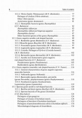Medical Microbiology, Virology, Immunology. Textbook. In 2 volumes - Фото 2