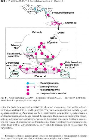 Pharmacology. Textbook