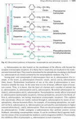 Pharmacology. Textbook - Фото 3
