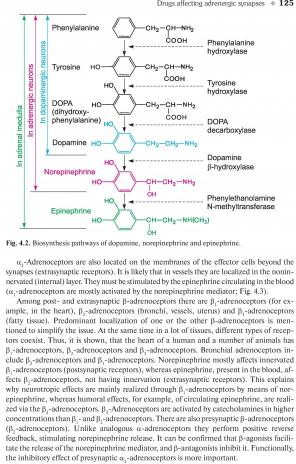 Pharmacology. Textbook