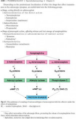 Pharmacology. Textbook - Фото 8