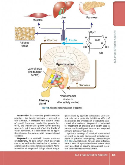 Pharmacology. Illustrated textbook