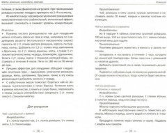 Мята, ромашка, календула, крапива — лекари от 100 болезней - Фото 1