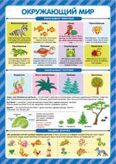 Обучающие плакаты. Знания для школьников - Фото 10