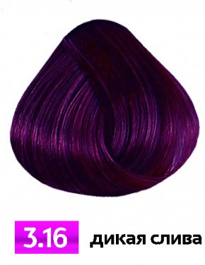 Крем-краска для волос «Color Essence», оттенок 3.16 Дикая слива