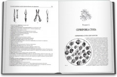 Подарок молодым хозяйкам, или Средство к уменьшению расходов в домашнем хозяйстве - Фото 1