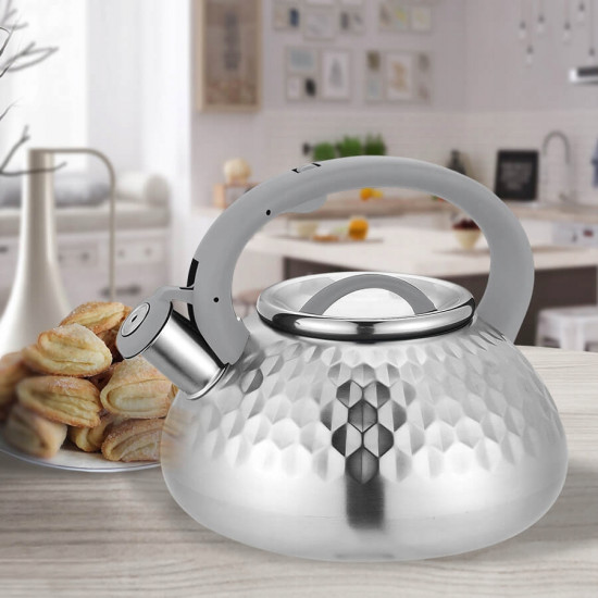 Чайник металлический Feel Maestro MR-1309 со свистком