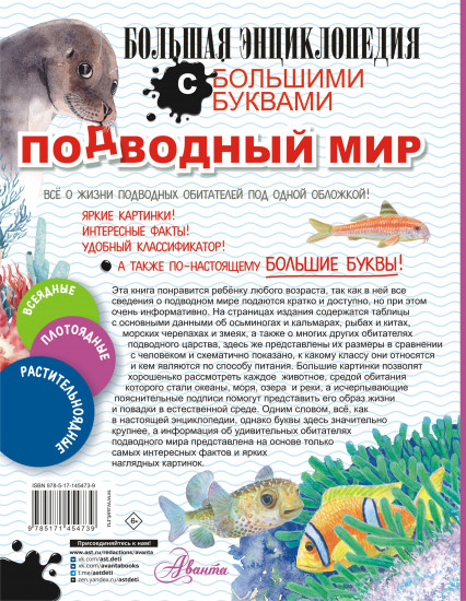Подводный мир