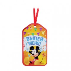 Набор для проведения праздника «С Днем Рождения!» Микки Маус и друзья, 18,5 × 25 см - Фото 5