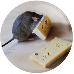 Значок «Мышь и сыр» - Фото 4