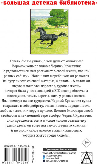 Черный красавчик