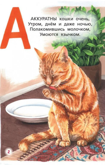 Кошачья азбука