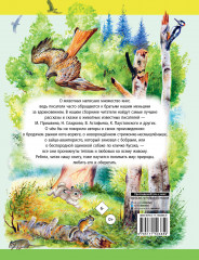 Рассказы о животных - Фото 1