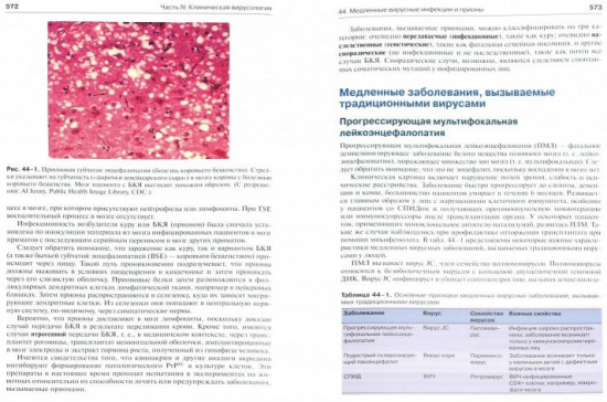 Медицинская микробиология и иммунология