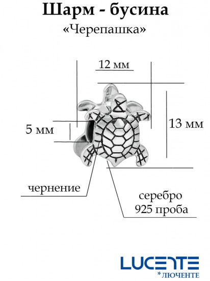 Шарм из серебра