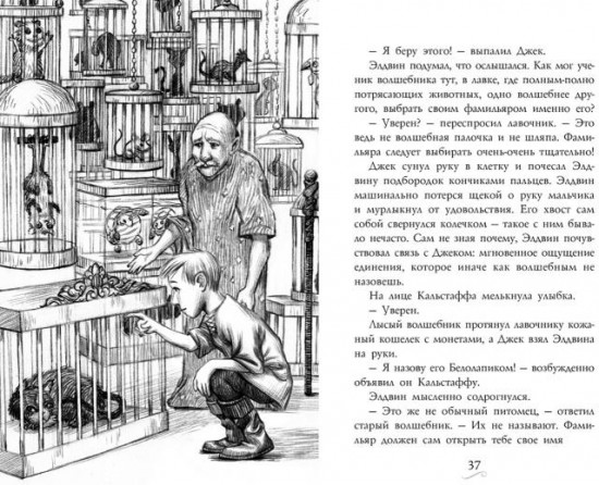 Фамильяры. Книга 1. Трое против ведьмы