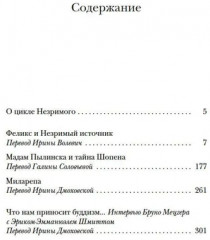 Феликс и Незримый источник и другие истории - Фото 4