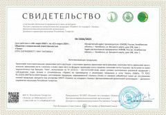 Крем-паста из фундука - Фото 1