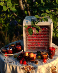 Сушилка для продуктов КТ-1909 - Фото 2