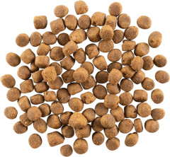 Корм для собак беззерновой с ягненком и свининой - Фото 2