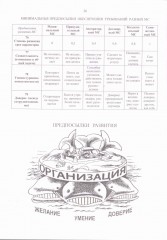 Атлас организационных систем - Фото 3