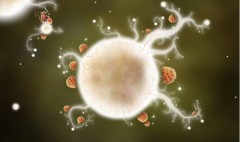 Botanicula - Фото 5