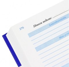 Дневник успеха (синий) - Фото 1