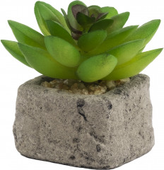 Растение искусственное декоративное «Суккулент» - Фото 1