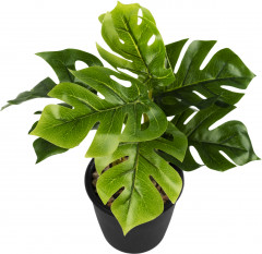 Растение искусственное декоративное - Фото 1