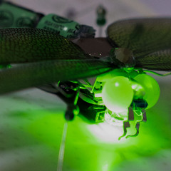 Конструктор «Кибер-стрекоза» - Фото 6