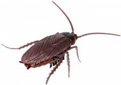 Игрушка интерактивная «Таракан» - Фото 1