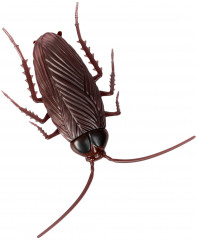 Игрушка интерактивная «Таракан» - Фото 3