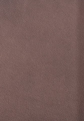 Русская история в жизнеописаниях ее главнейших деятелей - Фото 1