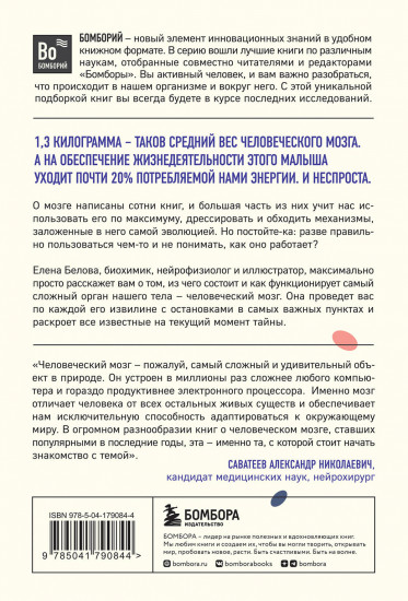 Автостопом по мозгу
