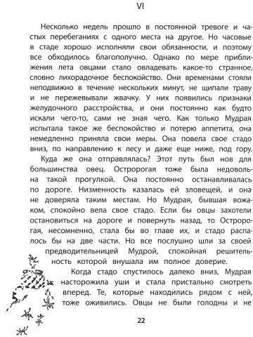 Крэг — кутенейский баран