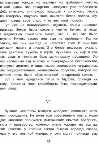 Крэг — кутенейский баран