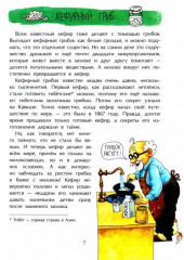 Грибное царство - Фото 2