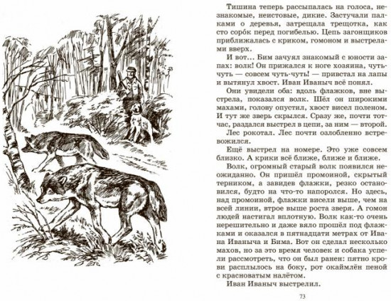 Белый Бим Черное ухо