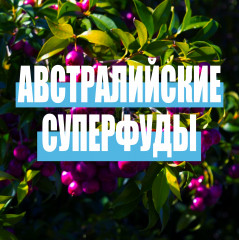 Бальзам-ополаскиватель для поврежденных волос - Фото 5