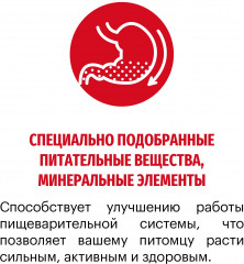 Корм для щенков средних пород с индейкой «Medium Junior» - Фото 4